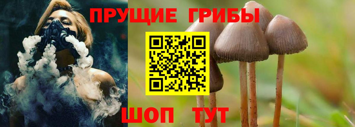 Псилоцибиновые грибы Magic Shrooms Нижнеудинск